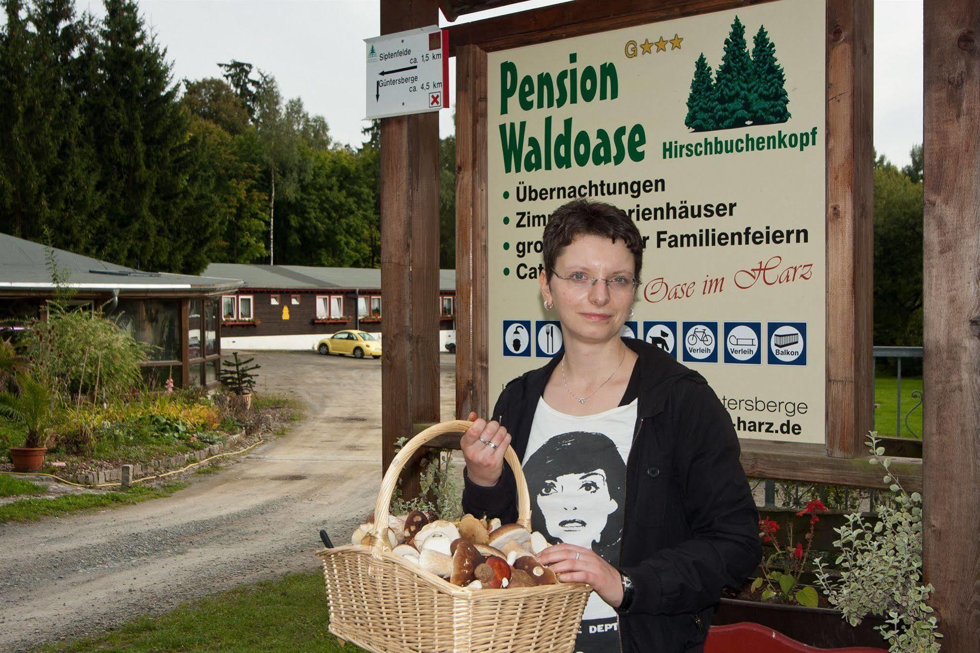 Hotel Waldoase Hirschbuechenkopf Güntersberge Eksteriør billede